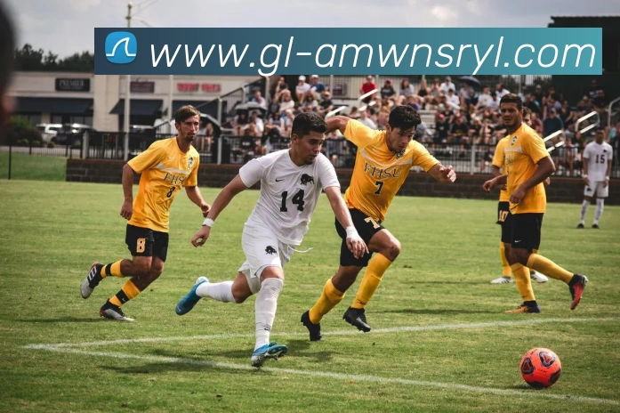 威尼斯人官网品牌故事